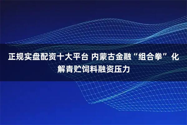 正规实盘配资十大平台 内蒙古金融“组合拳” 化解青贮饲料融资压力